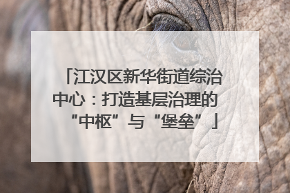 江汉区新华街道综治中心：打造基层治理的“中枢”与“堡垒”