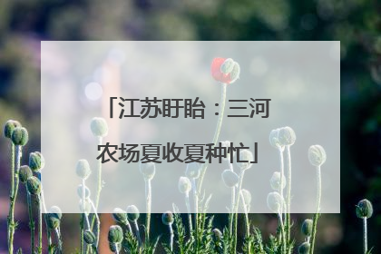 江苏盱眙：三河农场夏收夏种忙
