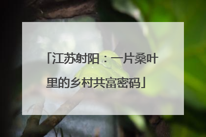 江苏射阳：一片桑叶里的乡村共富密码