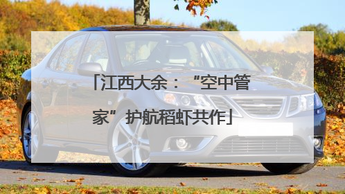 江西大余：“空中管家”护航稻虾共作