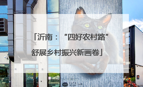 沂南：“四好农村路”舒展乡村振兴新画卷