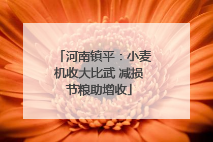河南镇平：小麦机收大比武 减损节粮助增收