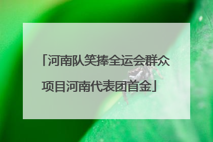 河南队笑捧全运会群众项目河南代表团首金
