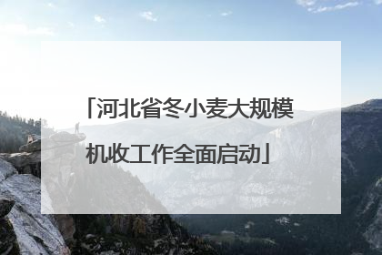 河北省冬小麦大规模机收工作全面启动