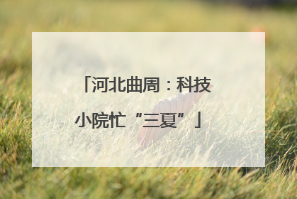 河北曲周：科技小院忙“三夏”