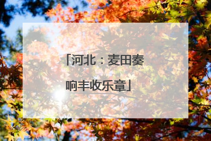 河北：麦田奏响丰收乐章