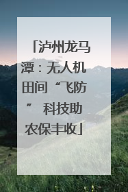 泸州龙马潭：无人机田间“飞防” 科技助农保丰收