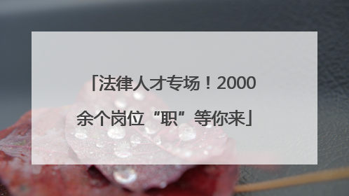 法律人才专场！2000余个岗位“职”等你来