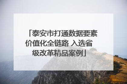 泰安市打通数据要素价值化全链路 入选省级改革精品案例