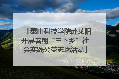 泰山科技学院赴莱阳开展暑期“三下乡”社会实践公益志愿活动