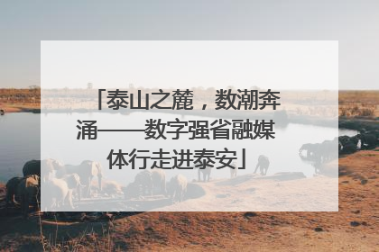 泰山之麓，数潮奔涌——数字强省融媒体行走进泰安