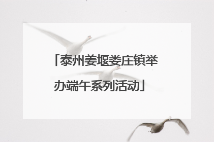 泰州姜堰娄庄镇举办端午系列活动