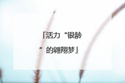 活力“银龄”的翱翔梦