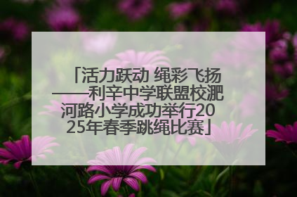活力跃动 绳彩飞扬——利辛中学联盟校淝河路小学成功举行2025年春季跳绳比赛