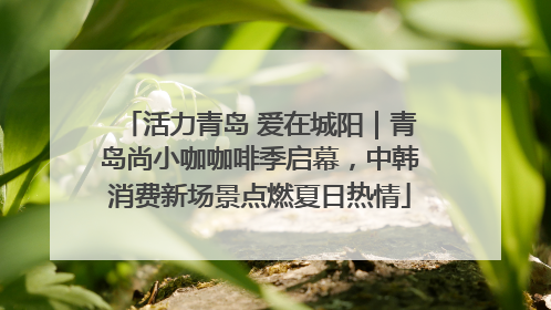 活力青岛 爱在城阳｜青岛尚小咖咖啡季启幕，中韩消费新场景点燃夏日热情
