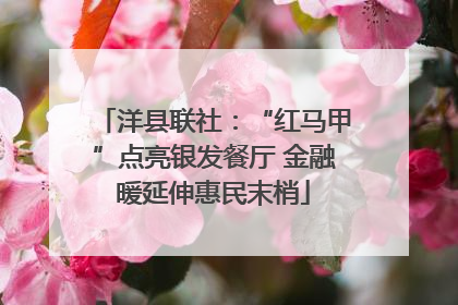 洋县联社：“红马甲”点亮银发餐厅 金融暖延伸惠民末梢