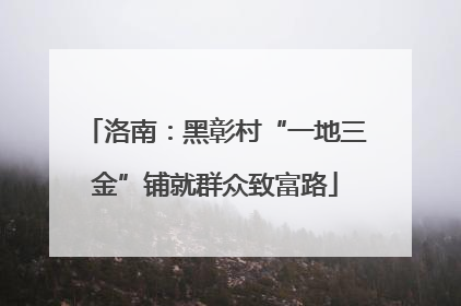 洛南：黑彰村“一地三金”铺就群众致富路