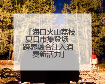 海口火山荔枝夏日市集登场 跨界融合注入消费新活力