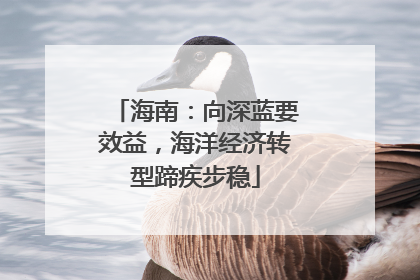 海南：向深蓝要效益，海洋经济转型蹄疾步稳