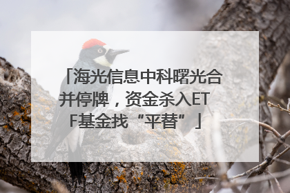 海光信息中科曙光合并停牌，资金杀入ETF基金找“平替”