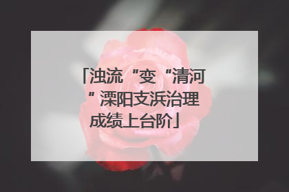 浊流“变“清河“ 溧阳支浜治理成绩上台阶