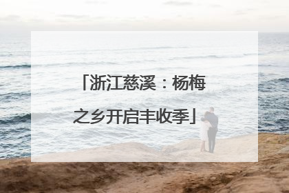 浙江慈溪：杨梅之乡开启丰收季