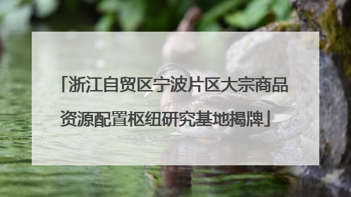 浙江自贸区宁波片区大宗商品资源配置枢纽研究基地揭牌