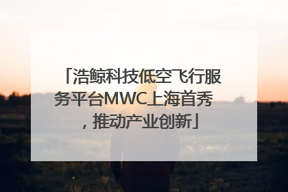浩鲸科技低空飞行服务平台MWC上海首秀，推动产业创新