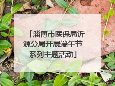 淄博市医保局沂源分局开展端午节系列主题活动