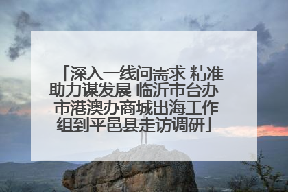 深入一线问需求 精准助力谋发展 临沂市台办 市港澳办商城出海工作组到平邑县走访调研