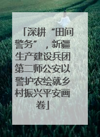 深耕“田间警务”，新疆生产建设兵团第二师公安以警护农绘就乡村振兴平安画卷