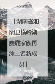 湖南省湘阴县横岭湖麋鹿家族再添三名新成员