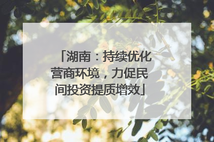 湖南:持续优化营商环境,力促民间投资提质增效