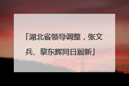 湖北省领导调整，张文兵、黎东辉同日履新