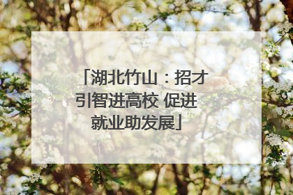 湖北竹山：招才引智进高校 促进就业助发展