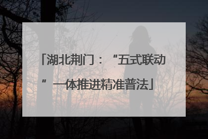 湖北荆门：“五式联动”一体推进精准普法