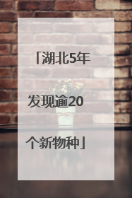 湖北5年发现逾20个新物种