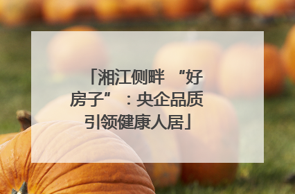 湘江侧畔 “好房子”：央企品质引领健康人居