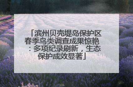 滨州贝壳堤岛保护区春季鸟类调查成果惊艳：多项纪录刷新，生态保护成效显著
