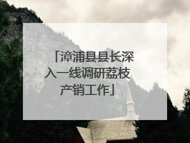 漳浦县县长深入一线调研荔枝产销工作