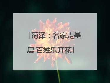 菏泽：名家走基层 百姓乐开花