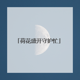 荷花盛开守护忙