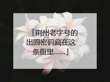 荆州老字号的出圈密码藏在这条街里……