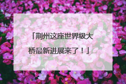 荆州这座世界级大桥最新进展来了！