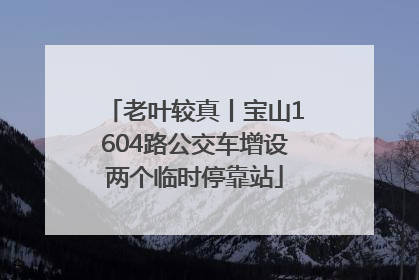 老叶较真丨宝山1604路公交车增设两个临时停靠站