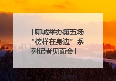 聊城举办第五场“榜样在身边”系列记者见面会