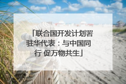 联合国开发计划署驻华代表：与中国同行 促万物共生