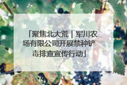聚焦北大荒｜军川农场有限公司开展禁种铲毒排查宣传行动