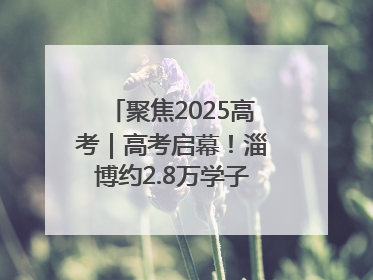 聚焦2025高考｜高考启幕！淄博约2.8万学子奔赴逐梦考场