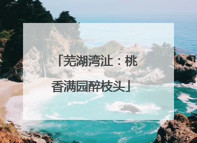 芜湖湾沚：桃香满园醉枝头